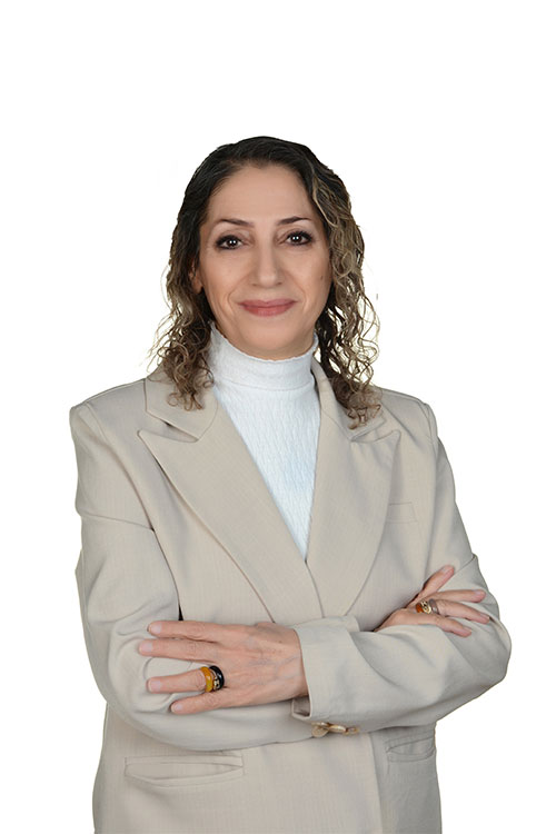 مینا جدیدی